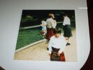 THE RADIO DEPT PET GRIEF VINYL LP 2006 LABRADOR