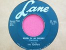 THE SONNETS - Angel of My Dreams / Oh Judy - 45 rpm - Lane 501