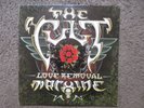 THE CULT 