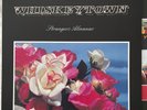 Whiskeytown  Strangers Almanac  Vinyl 2LP 2008 Ryan Adams Rare