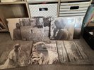 Taylor Swift - Folklore (16LPs) Complete Vinyl Set in 8 Color Variants (Sealed)