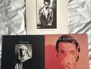 3x The Auteurs Vinyl Bundle - 2x Original Pressing and 1x Limited Edition + 7”