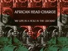 My Life In A Hole In The Ground by AFRICAN HEAD CHARGE [VINYL]
