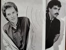 Daryl Hall And John Oates Voices Vinyl Mofi Pressing