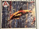 Stone Roses - What The World Is Waiting For - Includes limited edition print