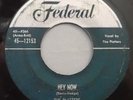 HEAR IT 50's Doo-Wop 45 rpm record The Platters 