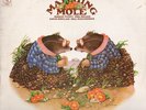 Matching Mole - Matching Mole (LP, Album, RE, RP) (Very Good Plus (VG+)) -   P