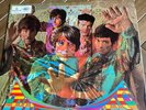 The Hollies - Evolution - Vinyl LP PMC7022 1967 Parlophone Mono Excellent Cond.