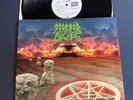 Morbid Angel – Domination 2016 Limited LP Vinyl NM