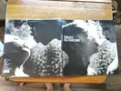 Tricky - Blowback ORIGINAL UK Vinyl Gatefold LP LC02576 / 396P Mint
