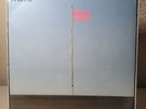Pink Flag by Wire (Sealed & New)w/minor sleeve damage