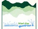 Various, Wind-Gap Bluegrass, (LP, Album), M, 3724072666