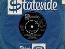 Soul Survivors:Expressway to your heart/Hey gyp:UK Stateside:1967