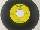 Ice-Cold-Love 1972 SWEET SOUL 45 Wonderful To Be Loved Sheer Magic TAMMY M- HEAR