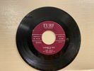THE PALS - Summer is Here/ My Baby Like to Rock - Turf-1001 - 1958 45rpm N/M