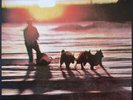 The Human League - Travelogue (LP, Album)
