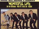 Cliff Richard & The Shadows - Wonderful Life (7