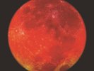 Fraction Moon Blood (Picture Disc) (Vinyl)