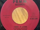 RARE Psych Garage Unknown Downer 45 SECRET SOCIETY PAUL HIBBETS Take A Look PRMM