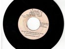 #44 ROOTS REGGAE 45 FR RICHARD HOLUNG 