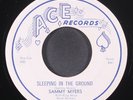 SAMMY MYERS: sleeping in the ground / my love is here to stay ACE 7