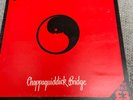 Vinyl 12 inch record Poison Girls ‎– Chappaquiddick Bridge Crass Records ‎– 4219
