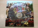 The Beatles/Sgt Peppers Lonely Hearts Club Band/1979 Picture Disc Reissue LP/EX