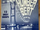 Humber Beat Volume 1 1978 Various Artist UK LP Private Pressing Riot Rockers
