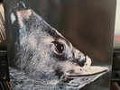 toe - The Book About My Idle Plot On A Vague Anxiety LP 2nd pressing gray vinyl