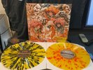 Baroness Gold And Grey Vinyl Record LP /500 Rare OOP Mastodon Sleep Neurosis