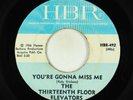 Garage 45 - Thirteenth Floor Elevators - You're Gonna Miss Me - Hanna-Barbera