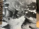 Blut Aus Nord-Ultima Thulée LP (Lim. Teal/grey)