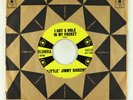 Rockabilly 45 - Little Jimmy Dickens - I Got A Hole In My Pocket - Columbia VG+