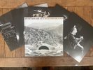 DAVE MATTHEWS BAND: Live at the Hollywood Bowl 09.10.18 5LP Box Set #2117