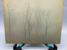Fleetwood Mac Bare Trees Vintage Vinyl LP 1972 Warner Bros Record MS-2080