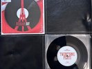 Twenty One Pilots Disquaire Day Double-Sided 7” Record RSD 2016 VG+/NM