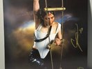 Caroline Polachek PANG 5 Year Anniversary Signed Gold Vinyl