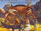 Fever the Ghost - Crab in Honey ( Blue )