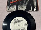 DEAD KENNEDYS- 