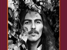 GEORGE HARRISON - THE VINYL COLLECTION - 17LP BOX SET Beatles Dylan Clapton
