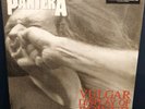 Pantera Vulgar Display Of Power Vinyl LP White & True Metal Gray Marble Record