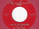 GARAGE 45 ON REMBRANDT - THE LEMON DROPS - 