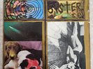 Sonic Youth - Sister Vinyl LP Record SST Records 1987