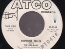 The Del-Rays - Fortune Teller / Like I Do (7