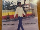 VINYL Lacksley Castell - Morning Glory Like new condition