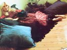 NEAR MINT ORIGINAL 1975 SWEDEN AGNETHA FALTSKOG ELVA VINYL LP EX+ ABBA EX RARE