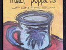 Meat Puppets - Up On The Sun 1985 LP (First Pressing) w/Inner Sleeve Near Mint