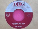 THE TEARS - Nothing but Love / Until the Day I Die -super clean 45 rpm - Dig 112