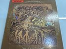 FEVER TREE FOR SALE LP RARE PROMO  WHITE LABEL PSYCH PUT A SPELL ON YOU HEY JOE