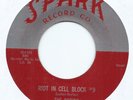 DOO WOP / ROCKER - ROBINS 